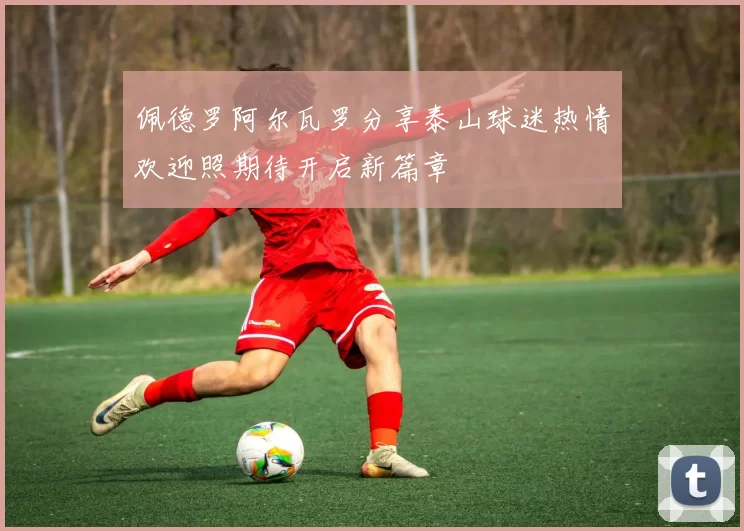 佩德罗阿尔瓦罗分享泰山球迷热情欢迎照期待开启新篇章
