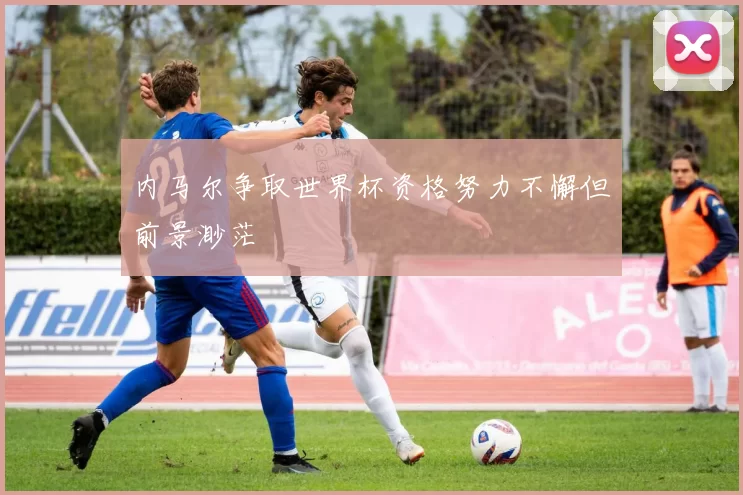 内马尔争取世界杯资格努力不懈但前景渺茫